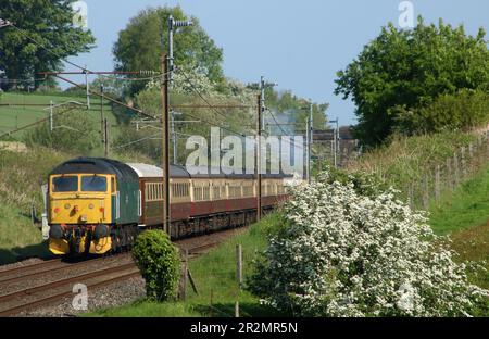 Klasse 47 Diesel-Elektro Loco 47614 an der Rückseite des Lakelander Spezialzugs, der Bay Horse in Lancashire auf der West Coast Main Line, 20. Mai 2023, passiert. Stockfoto