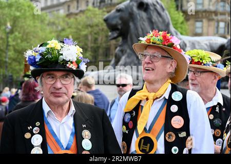 London, Großbritannien. Westminster Morris und die Gäste nahmen an einem Tanztag Teil, der aus einer Tour durch den Bezirk Westminster bestand, einschließlich einer Aufführung am Trafalgar Square. Kredit: michael melia/Alamy Live News Stockfoto