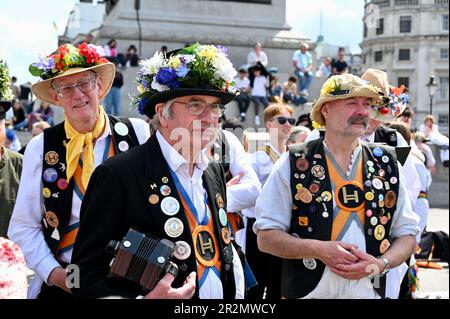 London, Großbritannien. Westminster Morris und die Gäste nahmen an einem Tanztag Teil, der aus einer Tour durch den Bezirk Westminster bestand, einschließlich einer Aufführung am Trafalgar Square. Kredit: michael melia/Alamy Live News Stockfoto