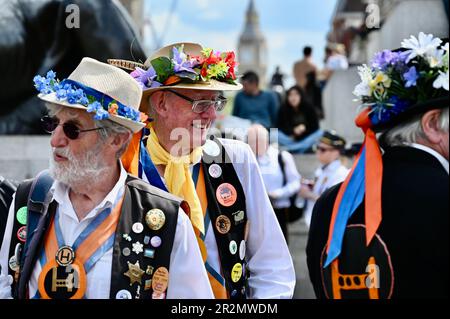 London, Großbritannien. Westminster Morris und die Gäste nahmen an einem Tanztag Teil, der aus einer Tour durch den Bezirk Westminster bestand, einschließlich einer Aufführung am Trafalgar Square. Kredit: michael melia/Alamy Live News Stockfoto