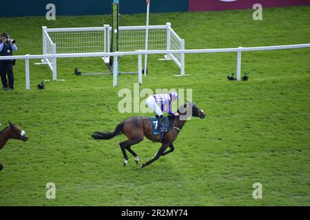 Newbury, Großbritannien. 20. Mai 2023 Shaquille, geritten von James Doyle (7), gewinnt die 13,50 BetVictor Carnarvon Stakes auf der Rennbahn Newbury, Großbritannien. Kredit: Paul Blake/Alamy Live News. Stockfoto