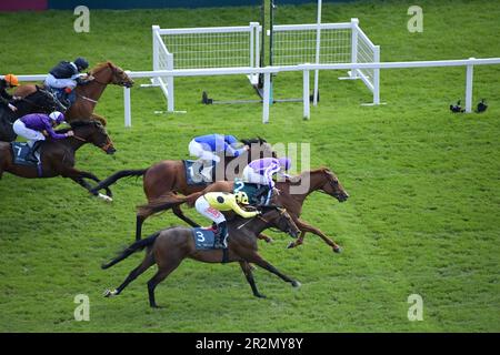 Newbury, Großbritannien. 20. Mai 2023 Bertinelli, geritten von Ryan Moore, gewinnt den BetVictor London Gold Cup 15:00 auf der Rennbahn Newbury, Großbritannien. Kredit: Paul Blake/Alamy Live News. Stockfoto