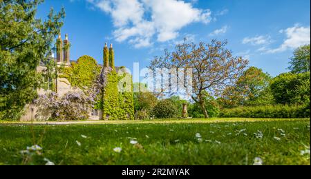 Newton Abbot, Großbritannien. 20. Mai 2023. Schönes sonniges Wetter im Forde House in Newton Abbot in Devon, Großbritannien. Kredit: Thomas Faull/Alamy Live News Stockfoto