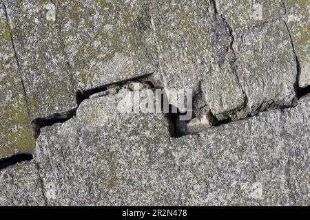 Große, tiefe, diagonale, aufsteigende Risse an alten moosbedeckten Wänden. Nahaufnahme. Speicherplatz kopieren. Selektiver Fokus. Stockfoto