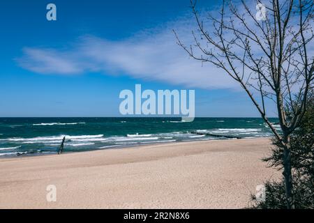 Einsamer Strand an der Ostsee in Kuehlungsborn an Einem Suunny Spring Day Stockfoto