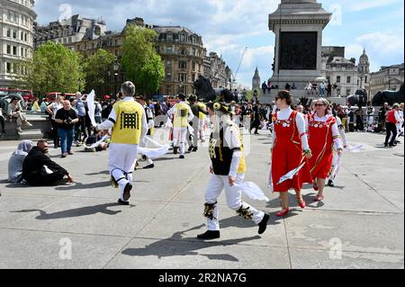 Westminster Morris & Guests, Day of Dance, Trafalgar Square, London, Großbritannien Stockfoto