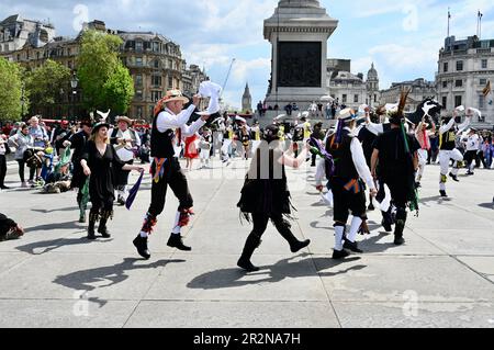 Westminster Morris & Guests, Day of Dance, Trafalgar Square, London, Großbritannien Stockfoto