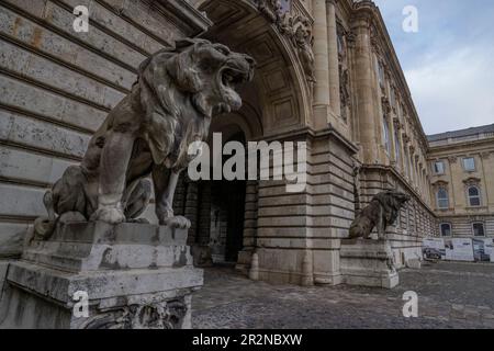 Budapest, Ungarn - 26. November 2022: Steinlöwen bewachen den Eingang zum Budaer Schloss, Budapest, Ungarn. Stockfoto