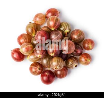 Rote Stachelbeere auf weißem Hintergrund Stockfoto