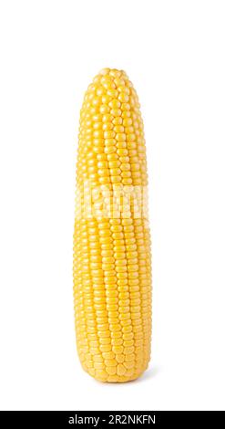 Cob corn auf weißem Hintergrund Stockfoto