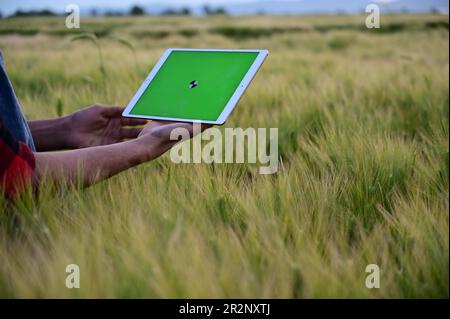 Mann, der ein Tablet im Außendienst benutzt. Die Zukunft der Landwirtschaft: Das neue Gesicht der effizienten Landwirtschaft mit Tablets Stockfoto