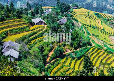 Landschaftsansicht von Reisfeldern im Bezirk Mu Cang Chai, Provinz Yen Bai, Nordvietnam Stockfoto