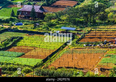 Kleine Landwirtschaft in Sapa in der Provinz Lao Cai im Nordwesten Vietnams Stockfoto