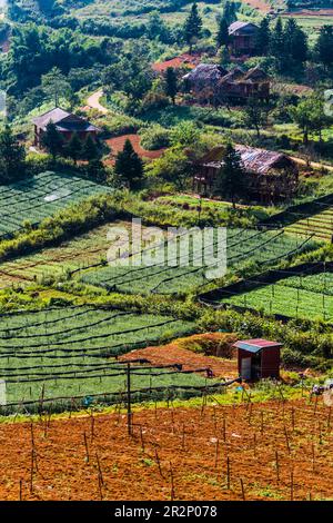 Kleine Landwirtschaft in Sapa in der Provinz Lao Cai im Nordwesten Vietnams Stockfoto