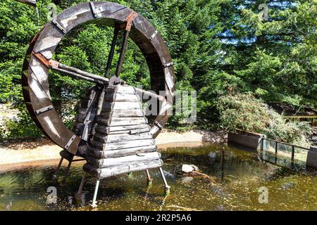 Altes Holzmühlenrad, Wasserteich Mit Baumstruktur. Sonniger Tag, Puerto Peulla Lago Todos Los Santos, Lateinamerika, Chile Stockfoto