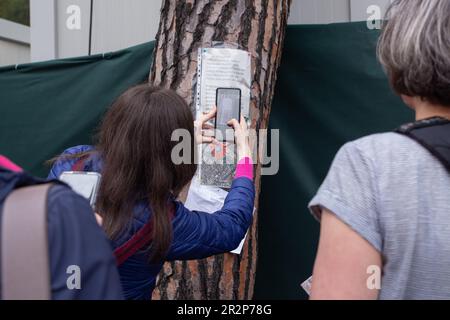 Rom, Italien. 20. Mai 2023. Unterschreiben Sie mit Informationen über das Konzert von Bruce Springsteen im Circus Maximus in Rom (Kreditbild: © Matteo Nardone/Pacific Press via ZUMA Press Wire), NUR REDAKTIONELLER GEBRAUCH! Nicht für den kommerziellen GEBRAUCH! Stockfoto