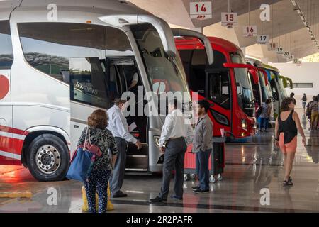 ADO-Busbahnhof an der Plaza Paseo 60 im zentralen Viertel Merida Yucatan Mexiko Stockfoto