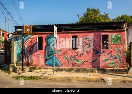 Öffentliches Wandgemälde an einem Haus in Valladolid Yucatan, Mexiko Stockfoto