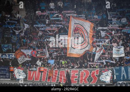 Fans von Marseille während des Fußballspiels der französischen Meisterschaft Ligue 1 zwischen LOSC Lille und Olympique de Marseille am 20. Mai 2023 im Stadion Pierre Mauroy in Villeneuve-d'Ascq bei Lille, Frankreich - Foto: Matthieu Mirville/DPPI/LiveMedia Stockfoto