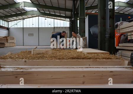 Michelstadt, Deutschland. 12. Mai 2023. Susanne Körner und Tilman Schäberle von der Architekturfirma Shaktihaus prüfen Komponenten für ein Gebäude aus lokalen Rohstoffen. In Michelstadt wird ein Büro- und Fabrikgebäude aus Holz und Stroh errichtet. (An dpa: 'Vom Feld bis zur Wand - Haus aus heimischen Rohstoffen') Kredit: Oliver Pietschmann/dpa/Alamy Live News Stockfoto