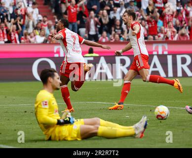 München, Deutschland. 20. Mai 2023. Serge Gnabry (Top L) von Bayern München feiert das Tor beim deutschen Bundesliga-Fußballspiel der ersten Liga zwischen Bayern München und RB Leipzig am 20. Mai 2023 in München. Kredit: Philippe Ruiz/Xinhua/Alamy Live News Stockfoto