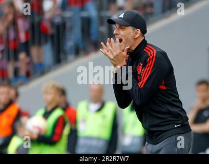 München, Deutschland. 20. Mai 2023. Thomas Tuchel, Cheftrainer der Bayern München, reagiert während des deutschen Bundesliga-Fußballspiels der ersten Division zwischen Bayern München und RB Leipzig am 20. Mai 2023 in München. Kredit: Philippe Ruiz/Xinhua/Alamy Live News Stockfoto