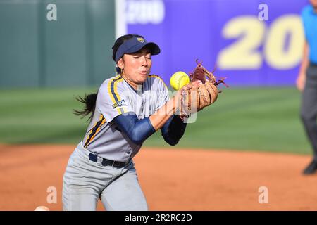 Northern Colo. 20. Mai 2023. 2B Jayden Gandert (5) legt im Husky Softball Stadium in Seattle, WA, beim regionalen NCAA-Softballspiel zwischen den N. Colorado Bears und den Minnesota Golden Gophers einen Ball ins Infield. Minnesota besiegte N. Colorado 4-0. Steve Faber/CSM(Kreditbild: © Steve Faber/Cal Sport Media). Kredit: csm/Alamy Live News Stockfoto