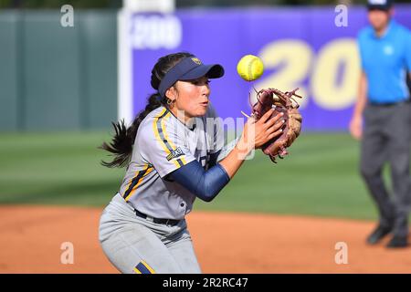 Northern Colo. 20. Mai 2023. Utility Jayden Gandert (5) behält die Konzentration, während sie während des regionalen NCAA-Softballspiels zwischen den N. Colorado Bears und den Minnesota Golden Gophers im Husky Softball Stadium in Seattle, WA, eine Line Drive betreibt. Minnesota besiegte N. Colorado 4-0. Steve Faber/CSM(Kreditbild: © Steve Faber/Cal Sport Media). Kredit: csm/Alamy Live News Stockfoto