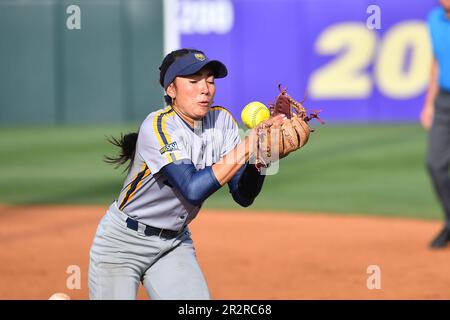 Northern Colo. 20. Mai 2023. 2B Jayden Gandert (5) legt im Husky Softball Stadium in Seattle, WA, beim regionalen NCAA-Softballspiel zwischen den N. Colorado Bears und den Minnesota Golden Gophers einen Ball ins Infield. Minnesota besiegte N. Colorado 4-0. Steve Faber/CSM/Alamy Live News Stockfoto