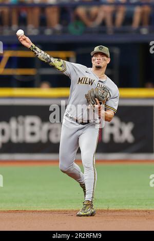 St. Petersburg, Florida, USA; Milwaukee Brewers Shortstop Willy Adames (27) gibt einen Ball aus und wirft in einem MLB-Spiel gegen die Tam an die erste Stelle Stockfoto