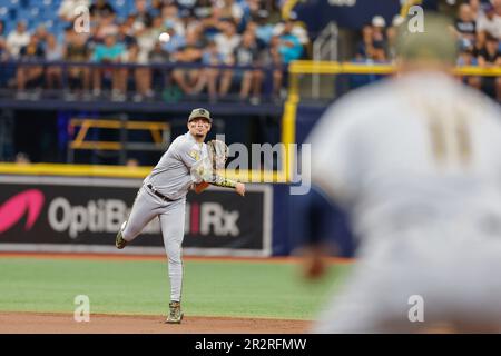 St. Petersburg, Florida, USA; Milwaukee Brewers Shortstop Willy Adames (27) gibt einen Ball aus und wirft in einem MLB-Spiel gegen die Tam an die erste Stelle Stockfoto