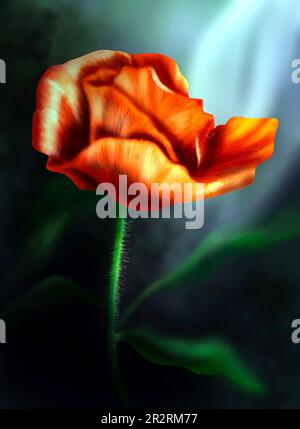 Digitale Illustration – eine helle rot-orangefarbene Mohnblume auf einem dunklen, stimmungsvollen Hintergrund Stockfoto