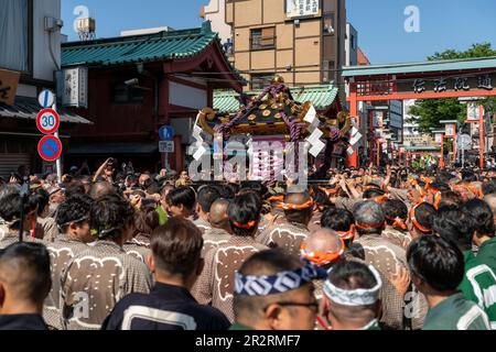 Allgemein betrachtet, Asakusa Sanja Matsuri ist ein jährliches Festival, das jedes Jahr am dritten Maiwochenende im Stadtteil Asakusa in Tokio, Japan, stattfindet. Dieses Jahr findet Sanja Matsuri vom 19. Bis 21. Mai 2023 statt. Dieses Festival ist als eines der drei großen Shinto Festivals in Tokio bekannt. Zwei weitere große Shinto Festivals sind Kandaund SannoMatsuri. Vor allem feiert Sanja Matsuri die Gründung des Senso-ji-Tempels. Während des Festivals können Besucher energiegeladene Prozessionen mit bunten, tragbaren Schreinen namens Mikoshi, traditioneller Musik und lebhaften Darbietungen erleben. Asakusa Sanja Matsuri ist Stockfoto