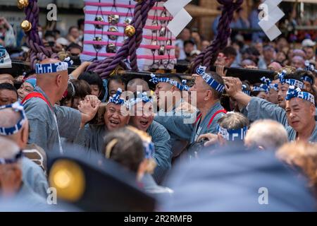 Allgemein betrachtet, Asakusa Sanja Matsuri ist ein jährliches Festival, das jedes Jahr am dritten Maiwochenende im Stadtteil Asakusa in Tokio, Japan, stattfindet. Dieses Jahr findet Sanja Matsuri vom 19. Bis 21. Mai 2023 statt. Dieses Festival ist als eines der drei großen Shinto Festivals in Tokio bekannt. Zwei weitere große Shinto Festivals sind Kandaund SannoMatsuri. Vor allem feiert Sanja Matsuri die Gründung des Senso-ji-Tempels. Während des Festivals können Besucher energiegeladene Prozessionen mit bunten, tragbaren Schreinen namens Mikoshi, traditioneller Musik und lebhaften Darbietungen erleben. Asakusa Sanja Matsuri ist Stockfoto