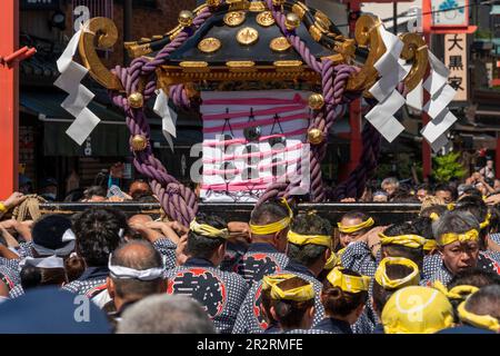 Allgemein betrachtet, Asakusa Sanja Matsuri ist ein jährliches Festival, das jedes Jahr am dritten Maiwochenende im Stadtteil Asakusa in Tokio, Japan, stattfindet. Dieses Jahr findet Sanja Matsuri vom 19. Bis 21. Mai 2023 statt. Dieses Festival ist als eines der drei großen Shinto Festivals in Tokio bekannt. Zwei weitere große Shinto Festivals sind Kandaund SannoMatsuri. Vor allem feiert Sanja Matsuri die Gründung des Senso-ji-Tempels. Während des Festivals können Besucher energiegeladene Prozessionen mit bunten, tragbaren Schreinen namens Mikoshi, traditioneller Musik und lebhaften Darbietungen erleben. Asakusa Sanja Matsuri ist Stockfoto