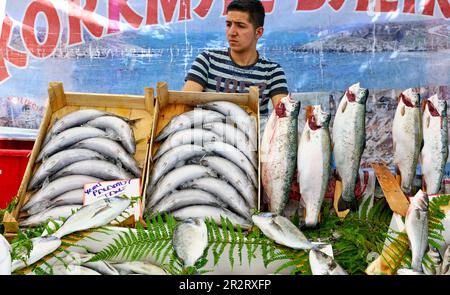 Istanbul Türkei. Frischer Fisch auf dem Street Market im Fatih District Stockfoto