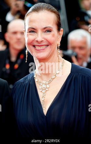 Cannes, Frankreich. 20. Mai 2023. Carole Bouquet bei der Premiere des Kinofilms 'Killer of the Flower Moon' auf dem Festival de Cannes 2023/76. Internationale Filmfestspiele von Cannes im Palais des Festivals. Cannes, 20.05.2023 Kredit: Geisler-Fotopress GmbH/Alamy Live News Stockfoto