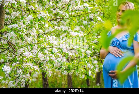 Schwangere Frau im Garten blühender Apfelbäume. Selektiver Fokus. Die Natur. Stockfoto