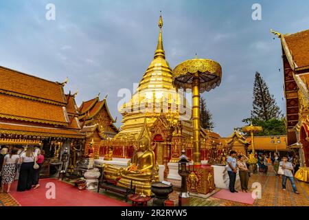 Goldener Chedi der buddhistischen Tempelanlage Wat Phra That Doi Suthep, Wahrzeichen von Chiang Mai, Thailand, Asien | Goldener Chedi des Buddhi Stockfoto