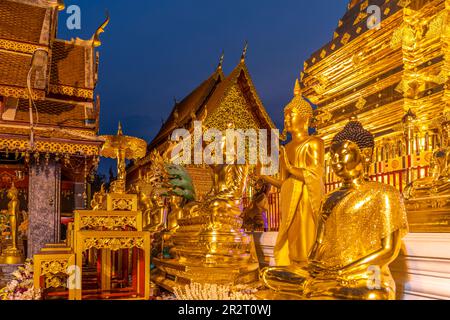 Buddha Statuen im buddhistischen Tempelanlage Wat Phra That Doi Suthep, Wahrzeichen von Chiang Mai in der Abenddämmerung, Thailand, Asien | Buddh Stockfoto