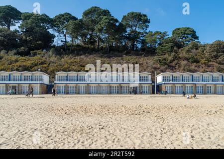 Poole, Großbritannien - April 8. 2023: Beach Huts at Flaghead Chine. Stockfoto