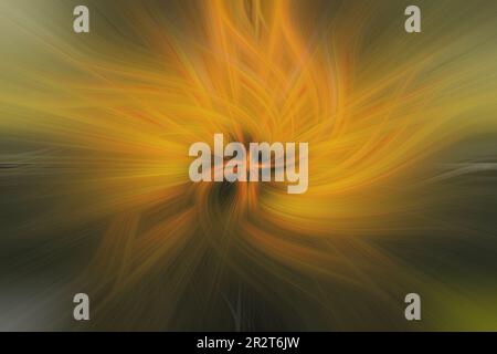 Metamorphe Formen aus Rauch, abstrakte Formen aus Gas als Hintergrund. Bizarre Rauchformen auf schwarzem Hintergrund Stockfoto