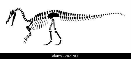 Das Suchomimus-Skelett. Silhouetten-Dinosaurier. Seitenansicht . Vector . Stock Vektor