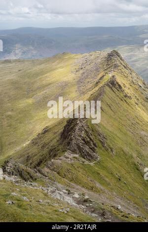 Wanderer auf dem Weg am Rand mit Helvellyn-Gipfel dahinter Stockfoto