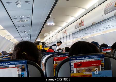 Ein männlicher Flugbegleiter, der Passagiere in einer Boeing 737 betreut, die von Pegasus Airlines betrieben wird Stockfoto