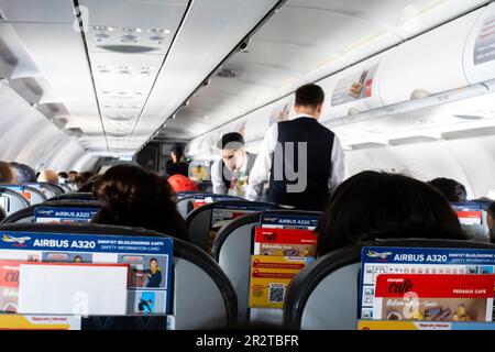 Männliche Flugbegleiter servieren den Passagieren in einer Flugzeugkabine Airbus A 320, die von türkischen Pegasus Airlines betrieben wird, Mahlzeiten und Getränke Stockfoto