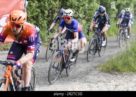 Antwerpen, Belgien. 21. Mai 2023. Französischer Audrey Cordon Ragot von Human Powered Health in Aktion während des eintägigen „Antwerpen Port Epic“ „Schaal Sels“ Frauen-Elite-Radrennen, 123km in und um Antwerpen, fünftes Rennen (5/10) im Lotto-RadCup, Sonntag, 21. Mai 2023. BELGA FOTO TOM GOYVAERTS Kredit: Belga News Agency/Alamy Live News Stockfoto