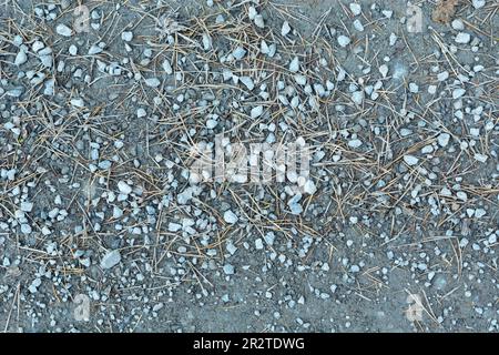 Draufsicht auf kleine Steine und trockene Baumnadeln, die auf dem Boden liegen, Novemberblick Stockfoto