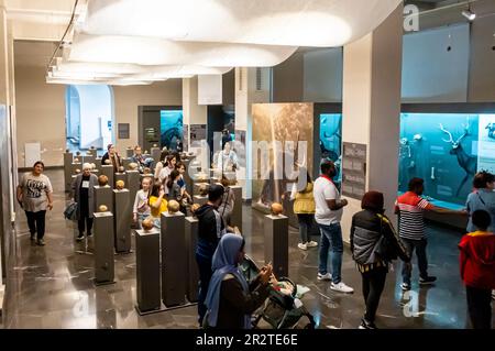 Besucher im georgianischen Nationalmuseum Tiflis Stockfoto