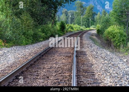 Blick über die Bahngleise in einer Berg- und Waldgegend aus einem tiefen Winkel, der sich in der Entfernung zwischen den Bäumen in Westkanada verwinkelt und verschwindet Stockfoto